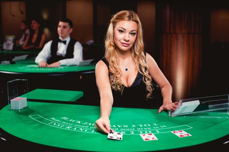 SpinBet Casino Live Casino