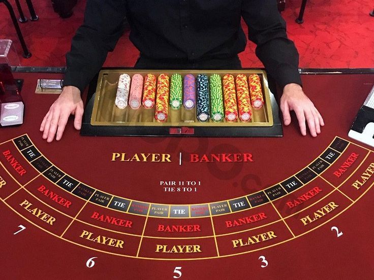 SpinBet Casino Live Betting